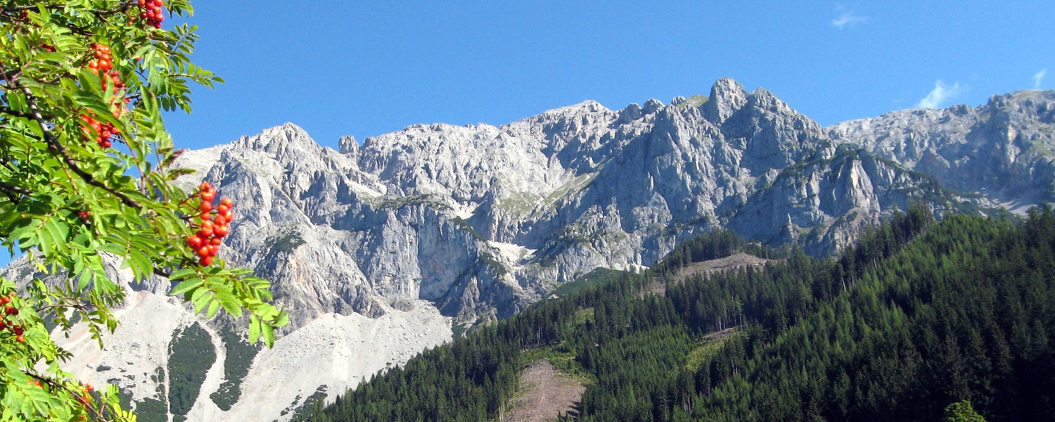 Der Dachstein